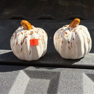 Ceramic White Pumpkin Decor Set